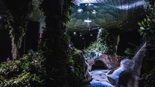 A Trial Run for the Lowline Worlds First Underground Park [upl. by Doone265]