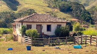 FARINHA DE MILHO DE MONJOLO E A CASA DE 200 ANOS  ALAGOA MG [upl. by Laurinda]