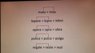 Metaplasmos Parte I  por subtração e por acréscimo  Prof Dr Jairo Postal [upl. by Montana]