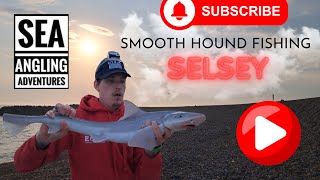 Sea Fishing Uk  Shore Fishing Uk  SmoothHound Fishing  Selsey Beach  Bait [upl. by Cordie]