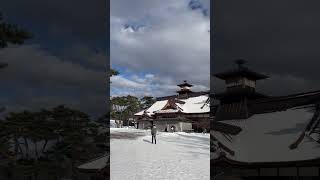 Hakodate Goryokaku Park Hokkaido Japan hakodate hokkaido japan [upl. by Beatty]