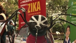 Le virus Zika se propage en Amérique Latine lOMS est inquiète [upl. by Aihsele]