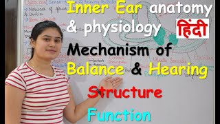 Inner Ear Anatomy amp Physiology in Hindi  part 2  Structure  Functions  balance amp hearing [upl. by Corrine788]