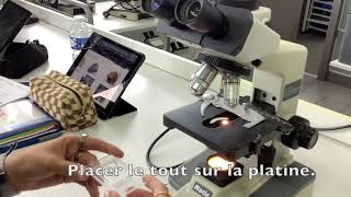 Comment utiliser un microsope en LPNA pour identifier les minéraux dune roche [upl. by Eissed]