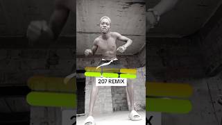 Fally Ipupa 207 REMIX version Afro beat amapiano kinshasa rap africain [upl. by Gurl]