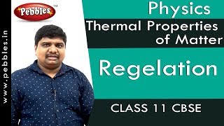 Regelation  Thermal Properties of Matter  Physics  Class 11  CBSE [upl. by Jorgensen]