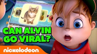 Can Alvin And The Chipmunks Go VIRAL On Social Media  ALVINNN  Nicktoons [upl. by Gherlein]