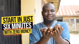 How To Start Profitable Snail Farming Business For Beginners [upl. by Assirol]