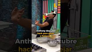 ElGranChefFamosos 🤣 TREMENDO TRUCAZO QUE DESBLOQUEÓ ANTHONY 💋 [upl. by Niletak400]