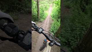 Are Ebikes worth it mtb bikepark mtbbike [upl. by Folberth]