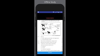 Genetics  Grade 12 Life Sciences [upl. by Ogir]