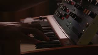 Behringer Poly D  Creating Music No Talking [upl. by Ajdan]