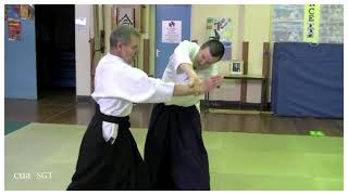 Aikido Bedle course p2 [upl. by Ignatzia762]