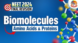 Biomolecules Amino Acids amp Proteins  NEET2024FinalRevision  srichaitanyagosala [upl. by Willman183]