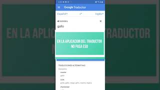 Gallo en el traductor de google 🐓🐓🐓🐓🐓 [upl. by Selbbep]