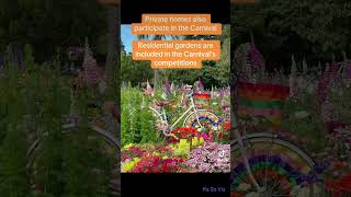 Toowoomba Carnival of Flowers 2024  residential gardens [upl. by Ignatzia402]