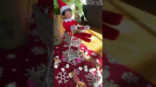 christmas merrychristmas elfonashelf elfontheshelfideas elfontheshelf [upl. by Savadove]