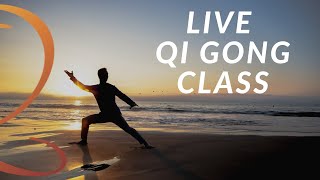 20Minute Live Qi Gong Class with Lee Holden [upl. by Lathrope994]