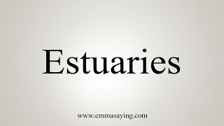 How To Say Estuaries [upl. by Roley]