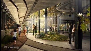 Meet the Low Line A New Park Grows Underground [upl. by Eduam]