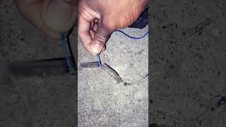 Nicrom wire experiment shotrs trending viralvideo [upl. by Wiese]