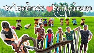 ภาพยนตร์สั้น อาหารบ้านในจานบ้านเธอ ตอนปลาไหลบ้านฉันในจานบ้านเธอปลาไหล [upl. by Dyraj49]