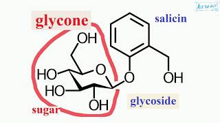 glycone [upl. by Anak]