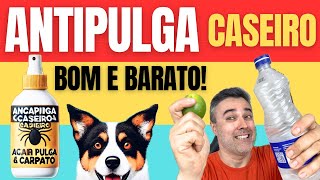 AntiPULGA CASEIRO ❌ACABA PULGA E CARRAPATO ✅BARATO ✅MAIS EFICAZ [upl. by Vivica]