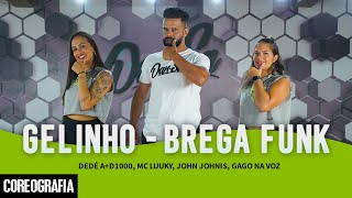 GELINHO  BREGA FUNK  Dedé AD1000 Mc Luuky John Johnis Gago Na Voz  DanSa Coreografia [upl. by Dorothi]