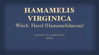 Hamamelis Virginica  Allen’s Keynotes  Well Explained [upl. by Attenaj]