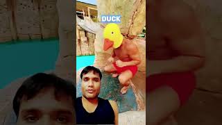 Diving in water water park shorts trending funny [upl. by Webb]