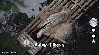 Anima Libera 08x （ DJ版 ） 喜欢的音乐！！抖音 [upl. by Roede361]