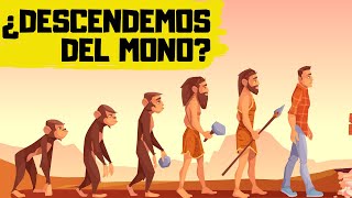 🐒TEORÍA de la EVOLUCIÓN de DARWIN ✅ EXPLICACIÓN RÁPIDA y SENCILLA [upl. by Kamp]