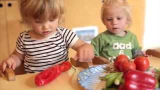 Project Biologische groenten en fruit op kinderdagverblijven [upl. by Einnep]