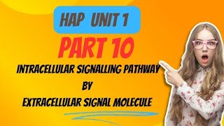 Intracellular signalling pathway activation by extracellular signal molecule Part 10 [upl. by Casanova]