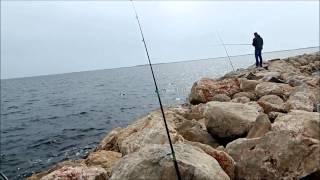 pêche de la daurade étang de Thau à Marseillan [upl. by Marozik935]