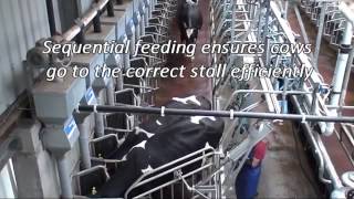 Fullwood Swingover Milking Parlour [upl. by Namad]