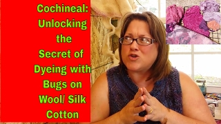 Cochineal Unlocking the Secret of Dyeing with Bugs on Wool Silk amp Cotton [upl. by Halilahk]