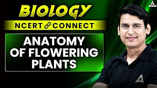 ANATOMY OF FLOWERING PLANTS CLASS 11  NEET 2025  BIOLOGY NCERT CONNECT SERIES  NEET BOTANY [upl. by Fates275]