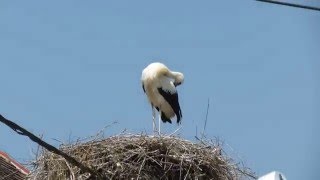 Tourist destination Letovanić selo pokraj Kupe [upl. by Dagmar]