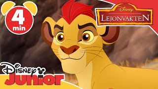 Lejonvakten  Det uttorkade vattenhålet 🦓 Disney Junior Sverige [upl. by Hershell]