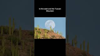 Gotta Visit Saguaro National Park pt1 travel saguaronationalpark adventure explorearizona [upl. by Teodoro]