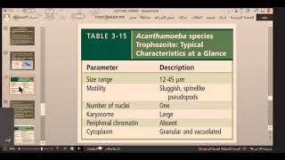 Parasitology Acanthamoeba [upl. by Leahci]