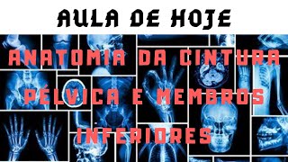 ANATOMIA DA CINTURA PÉLVICA E MEMBROS INFERIORES [upl. by Robbi]