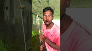 desi style fishing 🐠😱 minivlog vlog vlogging shorts fish vlogger fishing [upl. by Netsreik]