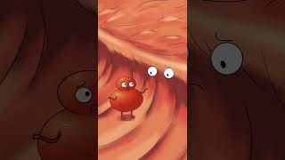 nosebleed536animation funny cartoon [upl. by Karli724]