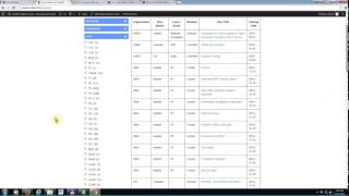 United Nations Salary Level and Grades [upl. by Leinahtan]