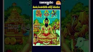 మనిషి సంపాదించడానికి ఉన్న సమయం ఆరేళ్లే 🙏🙏 kalagnanam kalagnanambrahmamgaru shorts ytshorts [upl. by Scoville]