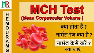 MCH blood test in hindi  MCH कम क्यों होता है  MCH नार्मल कैसे करें  MCH low के लिए क्या खाएं [upl. by Nylanna]