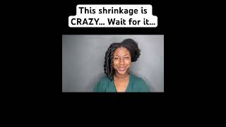 The shrinkage Who can relate Natural hair probs naturalhair [upl. by Sheedy]